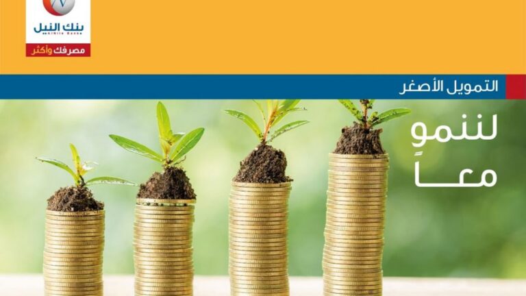 التمويل الأصغر: هذا مبلغ الجاري الإجمالي الخام للقروض