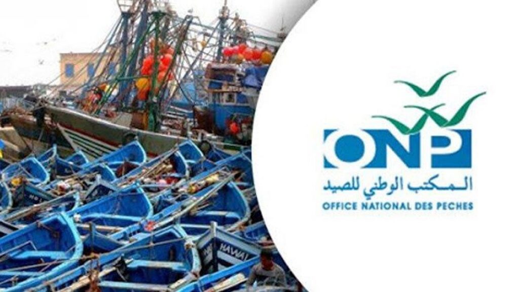 الصيد الساحلي والتقليدي: النقاط الرئيسية في تقرير المكتب الوطني للصيد