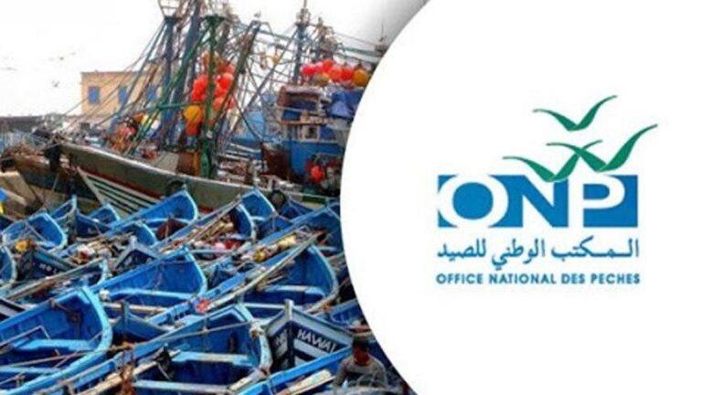 الصيد الساحلي والتقليدي: النقاط الرئيسية في تقرير المكتب الوطني للصيد