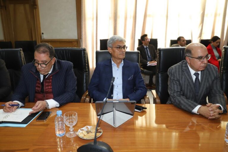 التأمين الإجباري الأساسي عن المرض.. آيت الطالب يعقد لقاء مع الشركاء الاجتماعيين حول "الإطار الاتفاقي النموذجي"