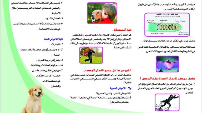 داء السعار.. رمحان تؤكد مجانية اللقاح وتكشف معاناة وجهود محاربة ظاهرة الكلاب الضالة (فيديو)