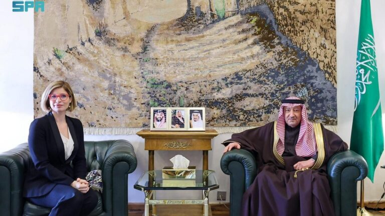 عضو بالبرلمان الأوروبي يندد بالخطابات المعادية للمغرب، "الجار" الذي لا غنى عنه بالنسبة لأوروبا