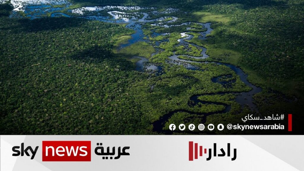 ثلث غابة الأمازون "دُمّر" بسبب الأنشطة البشرية والجفاف