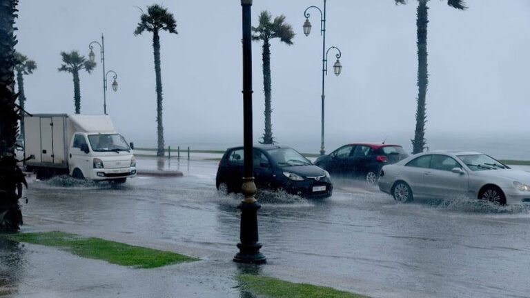 طفل في العاشرة يقتل طفلاً آخر في المكسيك بسبب لعبة فيديو