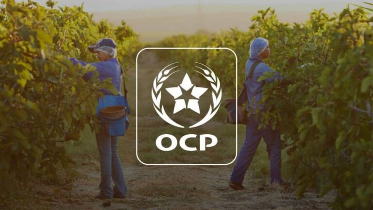 OCP يواصل جهوده لتحسين مؤشرات الحكامة البيئية