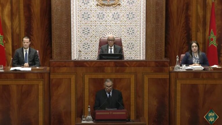 إجماع برلماني على نجاح الهيئة الوطنية لضبط الكهرباء في مهامها التأسيسية...