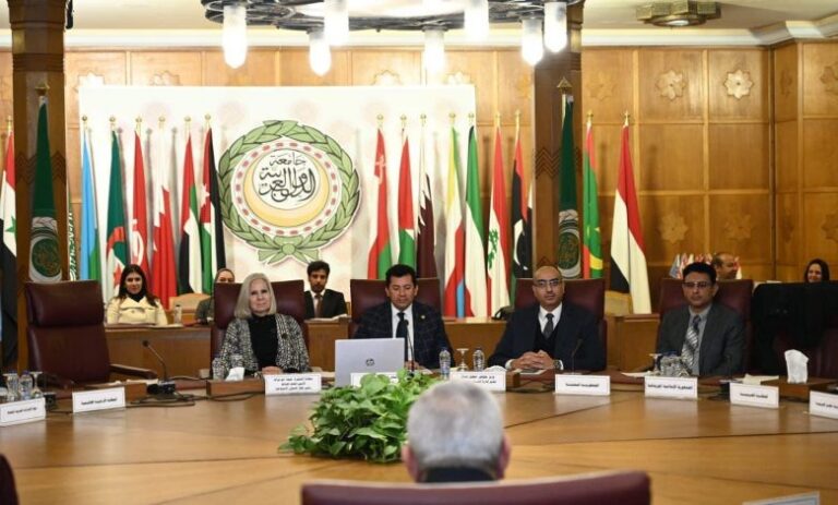 لجنة عربية توافق على ثلاث مبادرات مغربية للاحتفاء بعام الشباب العربي