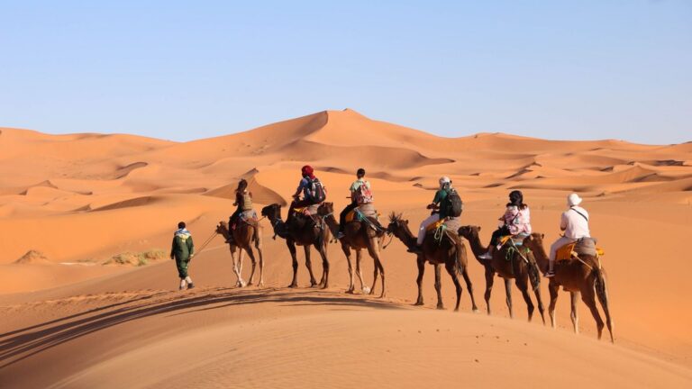 رحلة سياحية تتحول إلى مأساة بالجزائر.. 10 قتلى أغلبهم أطفال