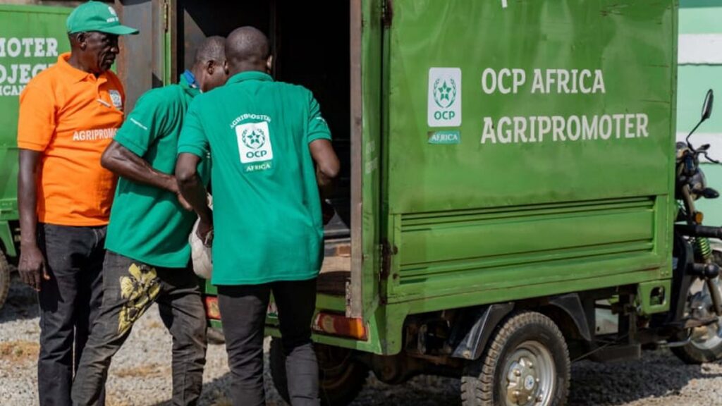 نيروبي.. مبادرات فرع إفريقيا للـ"OCP" من أجل توفير الأسمدة في القارة الإفريقية