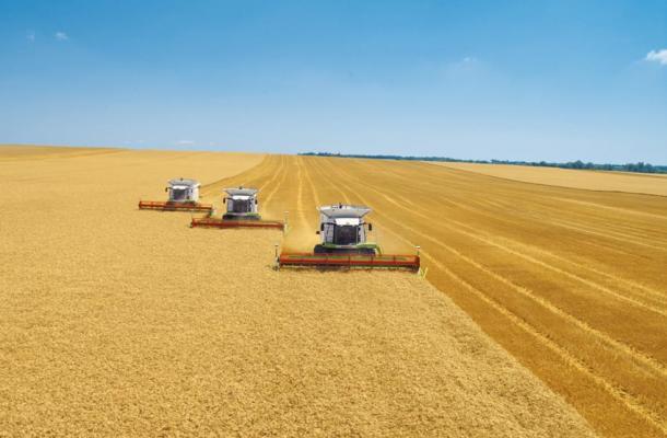 الصين.. انخفاض إنتاج القمح بسبب الأمطار الغزيرة