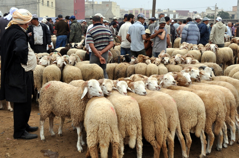 عيد الأضحى 1444 مر في ظروف جيدة