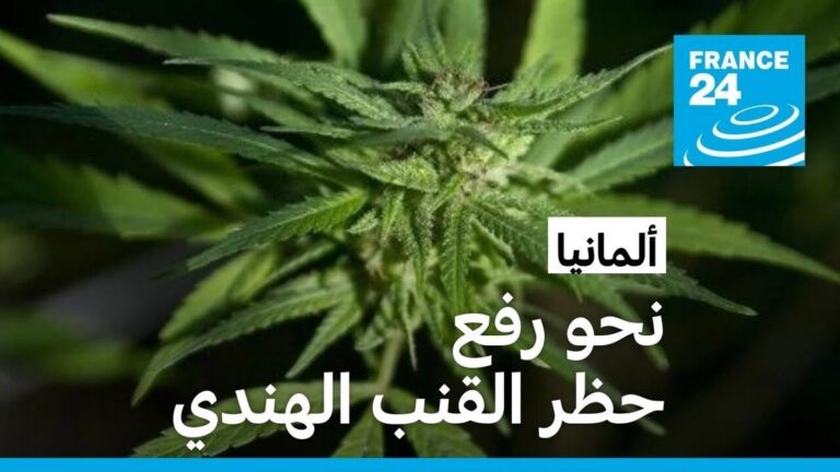 الحكومة الألمانية تقر مشروع قانون يسمح بتناول القنب الهندي بقيود