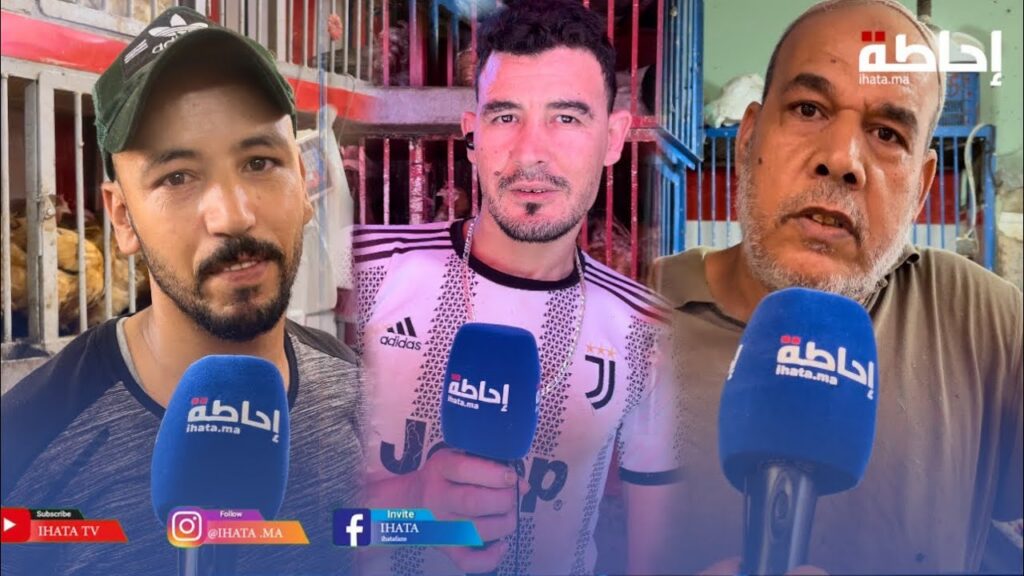 بائعون يربطون ارتفاع الطلب على لحوم الدواجن بانخفاض الأسعار (فيديو)