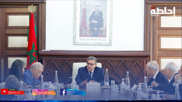 أخنوش: نباشر تنفيذ التدابير الملكية المتعلقة بإعادة التأهيل والبناء في المناطق المتضررة بالزلزال (فيديو)
