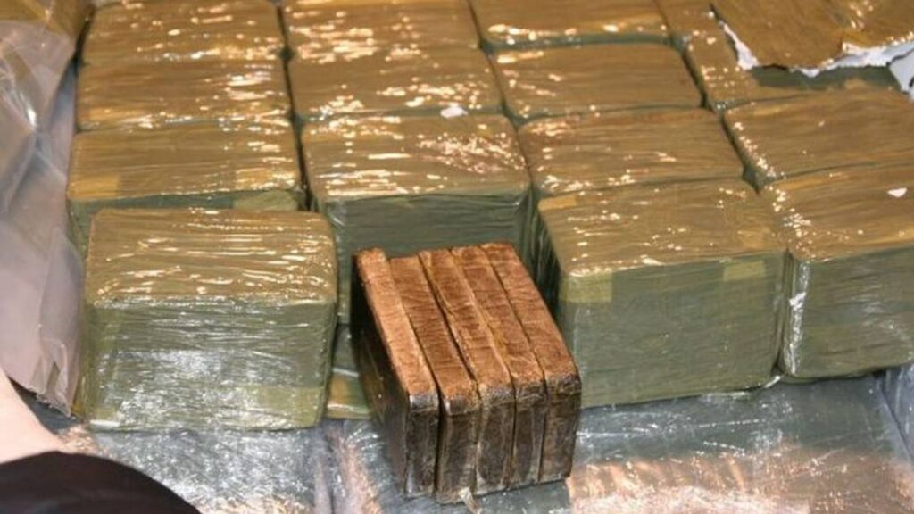 حجز أزيد من 11,5 طن من مخدر الشيرا بضواحي المحمدية والجديدة