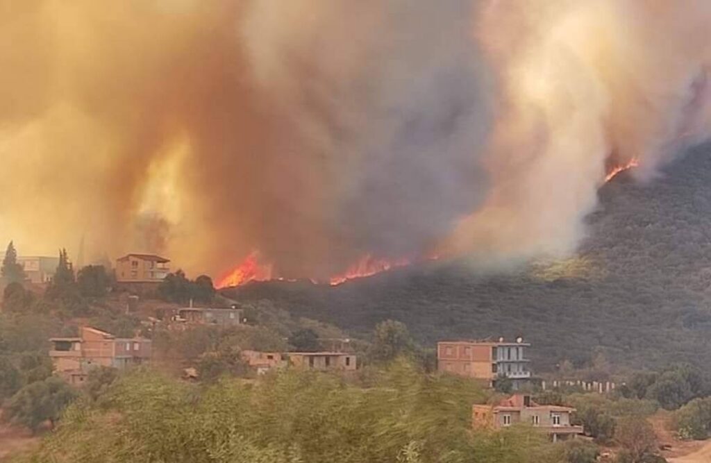 الجزائر.. حرائق غابات في تيزي وزو وبجاية