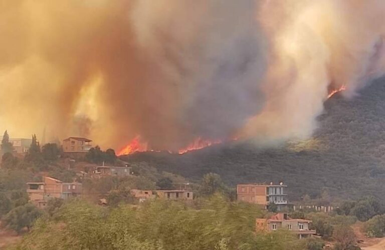 الجزائر.. حرائق غابات في تيزي وزو وبجاية