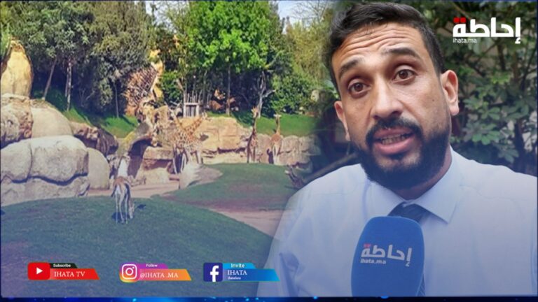 الكلايبي يكشف أسباب تأخر افتتاح حديقة عين السبع (فيديو)