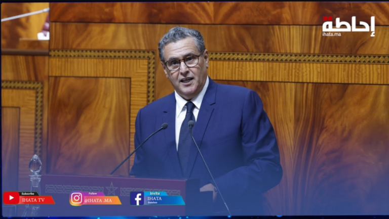 أخنوش يبرز الإجراءات الأساسية لعرض الدعم الاجتماعي المباشر (فيديو)