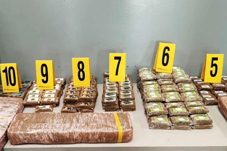 ميناء طنجة المتوسط.. إجهاض عملية للتهريب الدولي لأزيد من 1,2 طن من مخدر "الشيرا"