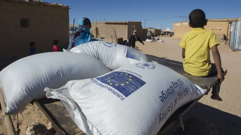 الأمم المتحدة.. المغرب يدعو مجلس الأمن إلى تبني عقوبات ضد المسؤولين عن تحويل مسار المساعدات الإنسانية