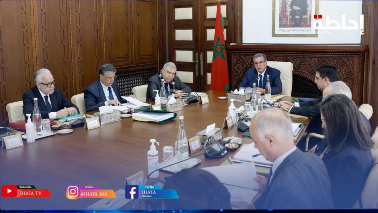 أخنوش: استكملنا مراحل المصادقة على قوانين الدعم الإجتماعي في وقت قياسي وفي احترام للأجندة الملكية (فيديو)