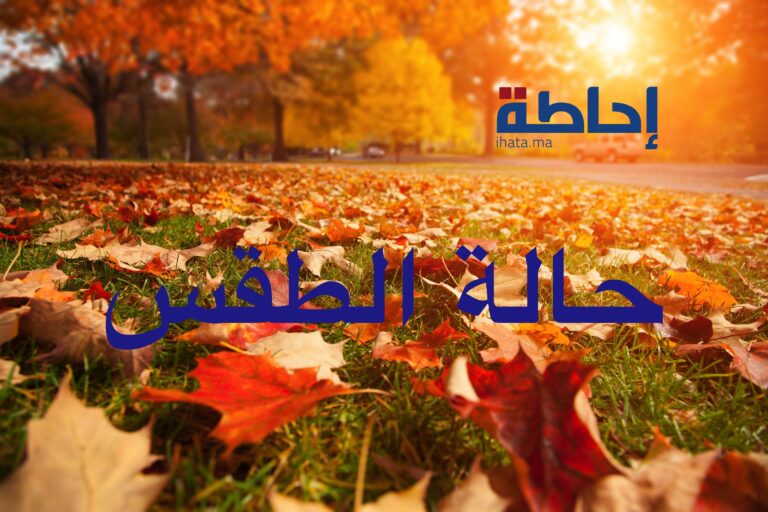 توقعات أحوال الطقس ليوم الاثنين