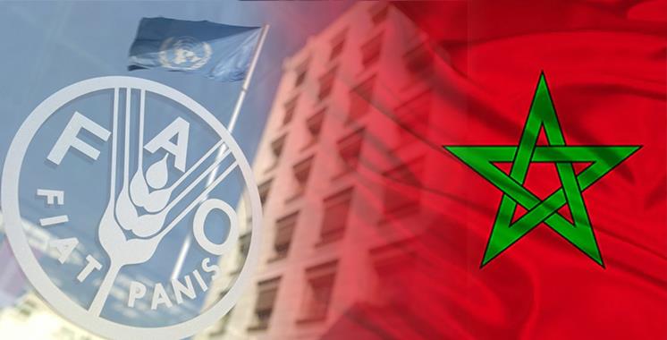 روما.. إعادة انتخاب المغرب في مجلس إدارة برنامج الأغذية العالمي