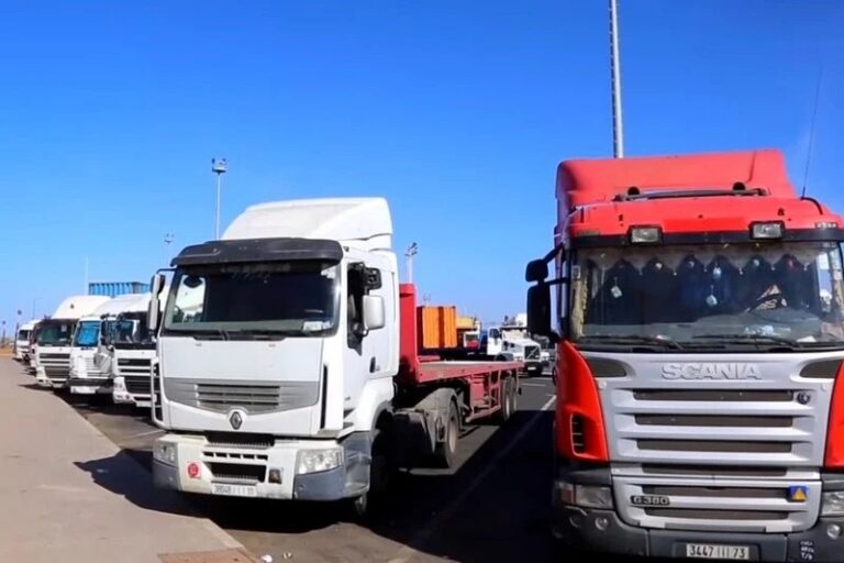 دعم إضافي لمهنيي النقل الطرقي بالمغرب