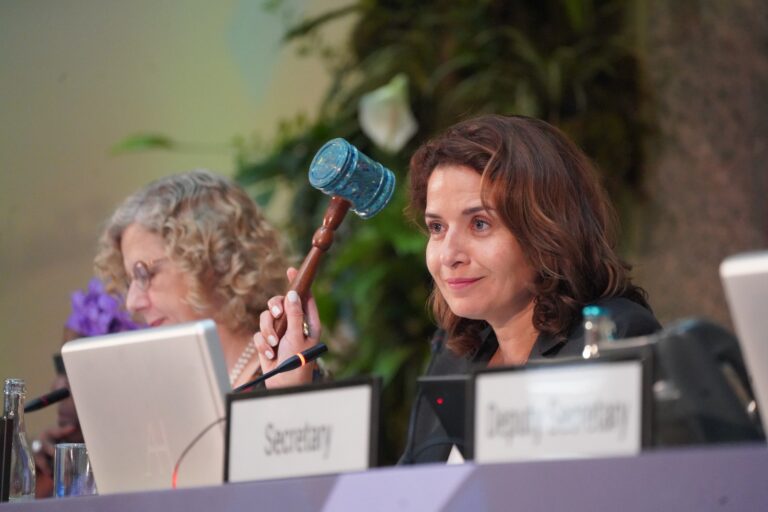 بنعلي: تم إحراز تقدم بارز في ظل رئاسة المغرب للدورة السادسة لجمعية الأمم المتحدة للبيئة