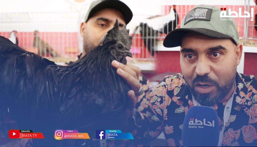 رئيس جمعية لتربية الدواجن يكشف مستجدات الدورة الـ8 لمعرض الفلاحة بمكناس (فيديو)