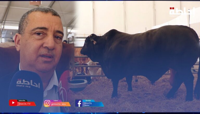 الملتقى الدولي للفلاحة.. فلاح يستحسن مستوى الأبقار المعروضة وجماليتها رغم الجفاف