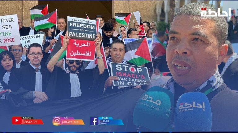 محامون ينظمون وقفة تضامنية لدعم القضية الفلسطينية (فيديو)