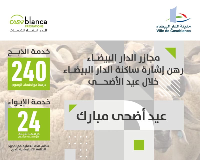 المجازر الحضرية للدار البيضاء رهن إشارة البيضاويين لإيواء الأكباش والذبح بمناسبة عيد الأضحى