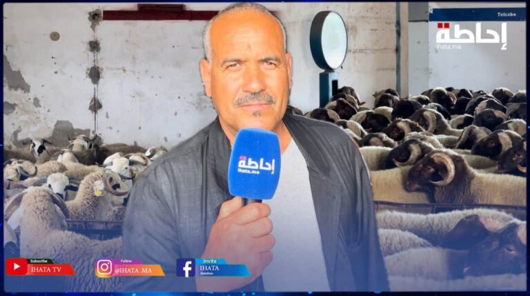 داربوعزة.. كساب يكشف زيادة مهولة في أثمنة الحولي (فيديو)