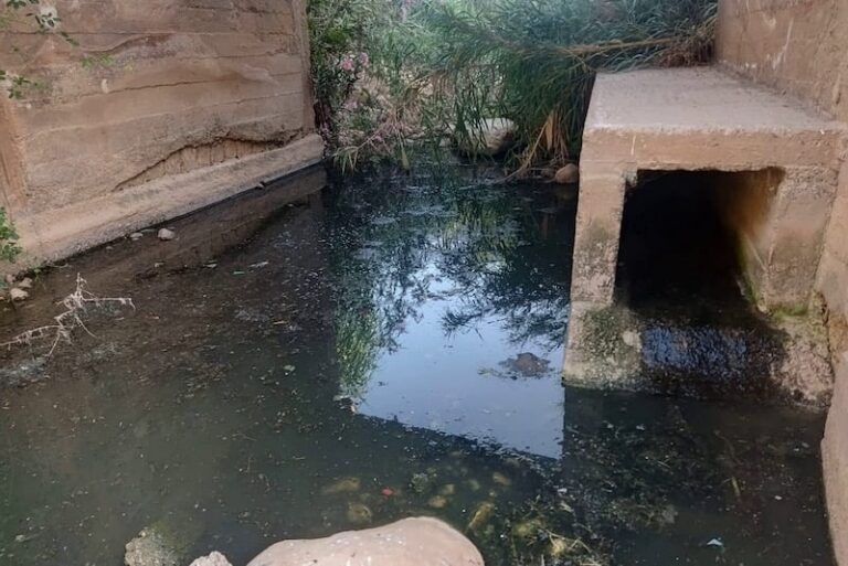 المياه الموزعة بمدينة زاوية الشيخ صالحة للشرب وتستجيب لمعايير الجودة المعمول بها