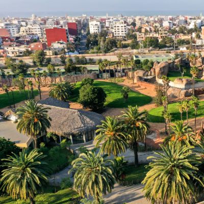 تعانيان من اضطرابات سلوكية وفي طريقهما لحديقة عين السبع.. مسؤول يكشف أسرار الفيلتيتن الناجيتين من سيرك أوروبي
