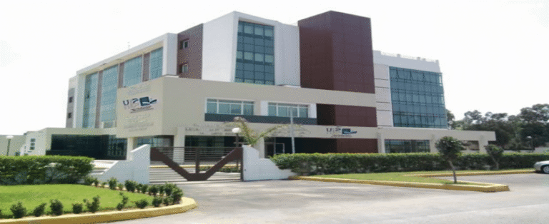 أفضل مؤسسات التعليم العالي في العالم.. جامعة مغربية وحيدة تتذيل تصنيف شنغهاي