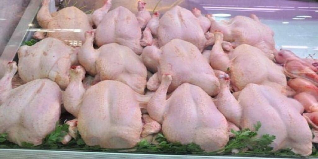 غلاء أسعار لحوم الدواجن يصل البرلمان