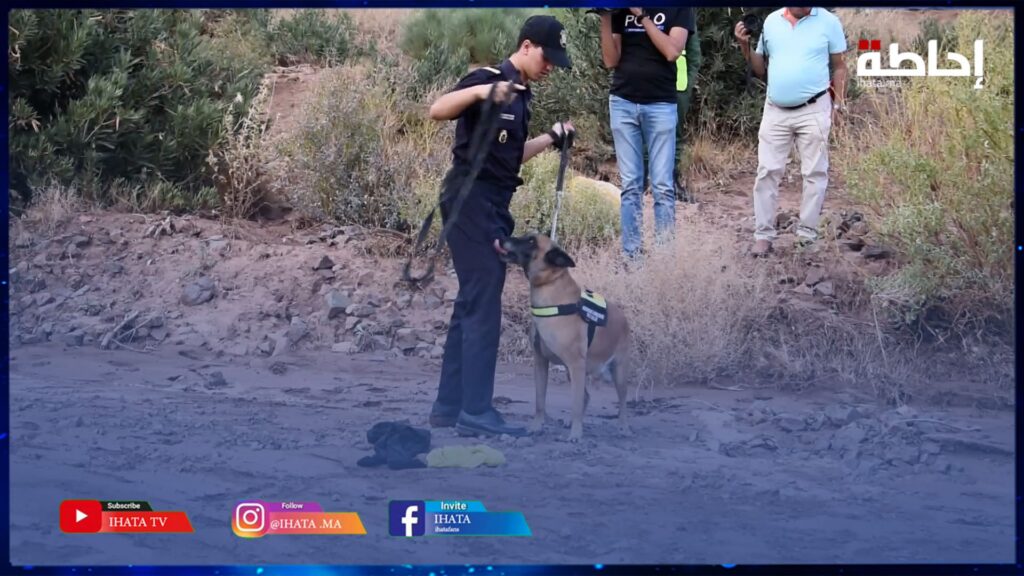رجال الدرك الملكي يستعنون بكلاب مدربة للوصول إلى جثة شابة مفقودة جرفتها سيول فيضانات ورزازات (فيديو)