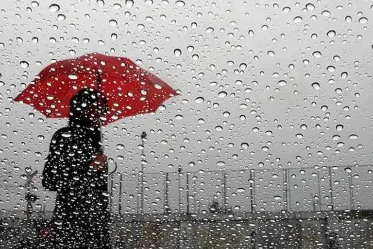 زاكورة والراشيدية يتصدران مقاييس التساقطات المطرية خلال الـ24 ساعة الأخيرة