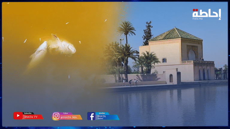كارثة بيئية بمراكش.. نفوق عدد كبير من الأسماك بصهريج المنارة التاريخي (فيديو)