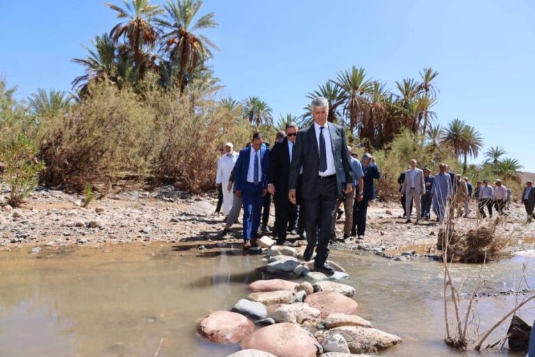 رصد مبلغ 40 مليون درهم لإصلاح الأضرار والتخفيف من آثار التساقطات المطرية القوية على الفلاحة بإقليم ورزازات