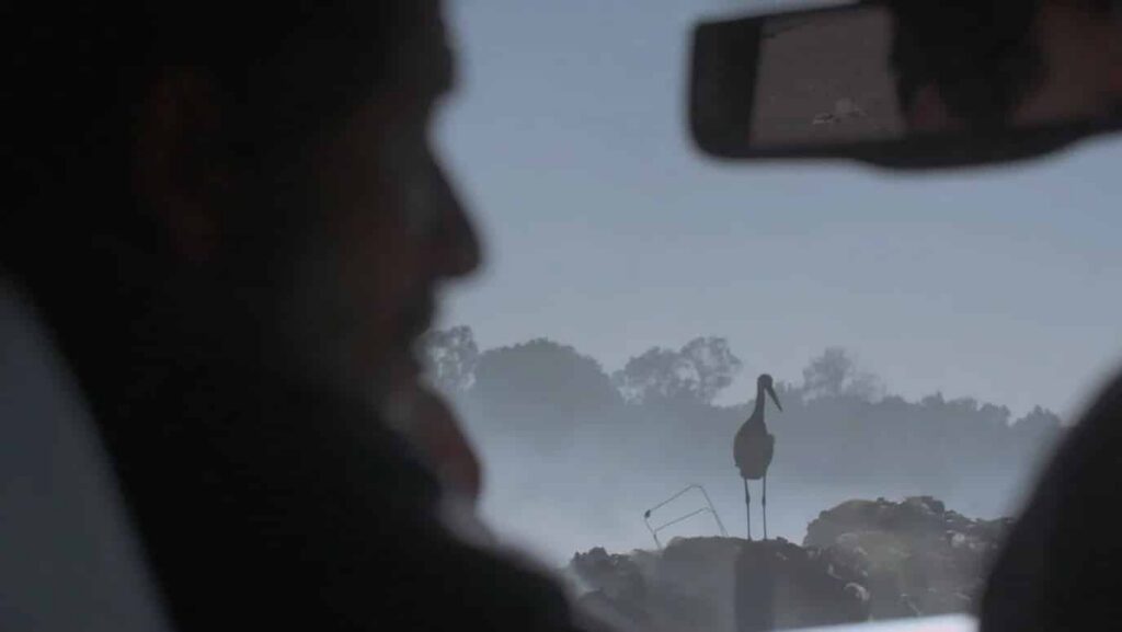 العام الثقافي قطر-المغرب..مؤسسة الدوحة للأفلام تحتفي بالسينما المغربية