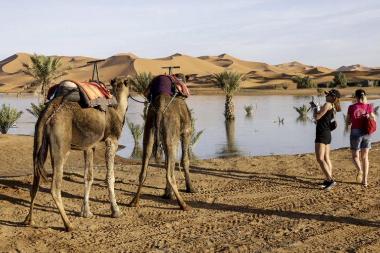 أمطار استثنائية تحيي بحيرات أماتها الجفاف في صحاري جنوب شرق المغرب