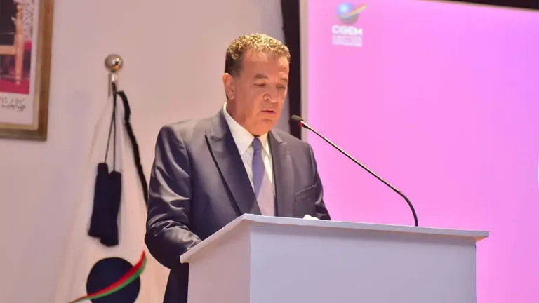 العلج: الصناعات الثقافية والإبداعية مكسب للمغرب