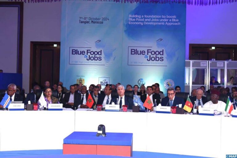 هلال يبرز أهمية التعاون بين بلدان الجنوب لضمان السيادة الغذائية في إفريقيا