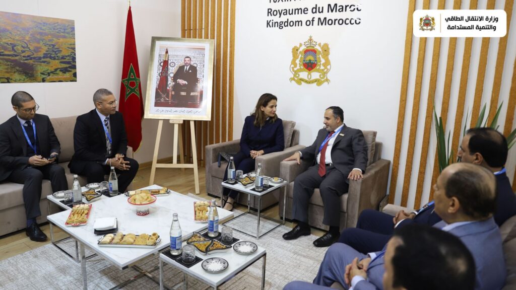 النجاح في مكافحة تغير المناخ يعتمد على القدرة على توفير الأدوات المالية اللازمة (ليلى بنعلي)