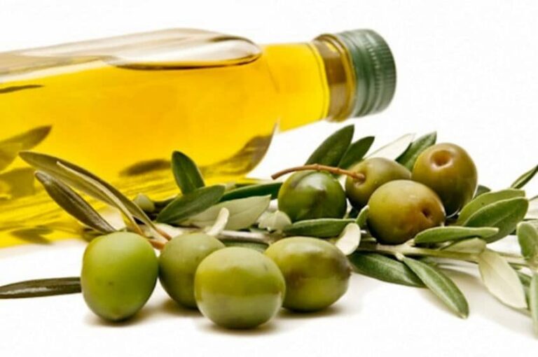 الزيتون يساعد على فقدان الوزن وتنظيم السكر في الدم