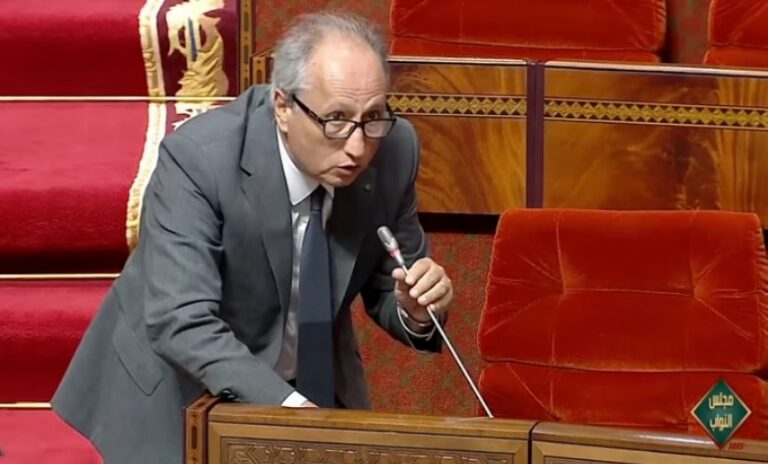 برادة: مدارس الريادة تحقق نتائج إيجابية في أقل من عام على انطلاقتها